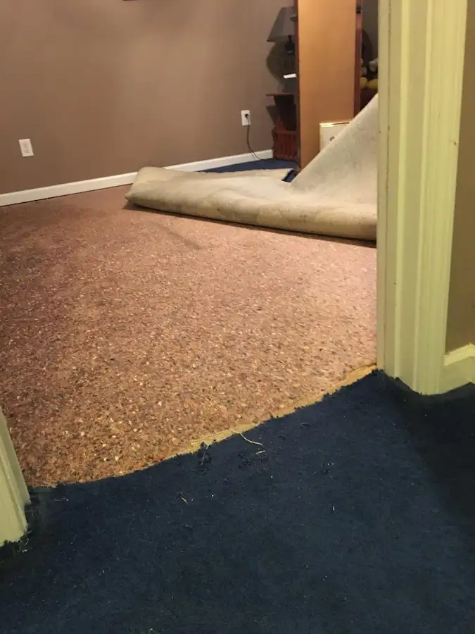 Carpet pad removal revealing water damage during Drying & Dehumidification in Crystal Lake